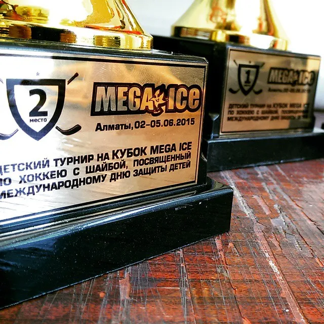 Кубоктар мен мүсіншелер — жұмыс үлгісі 13