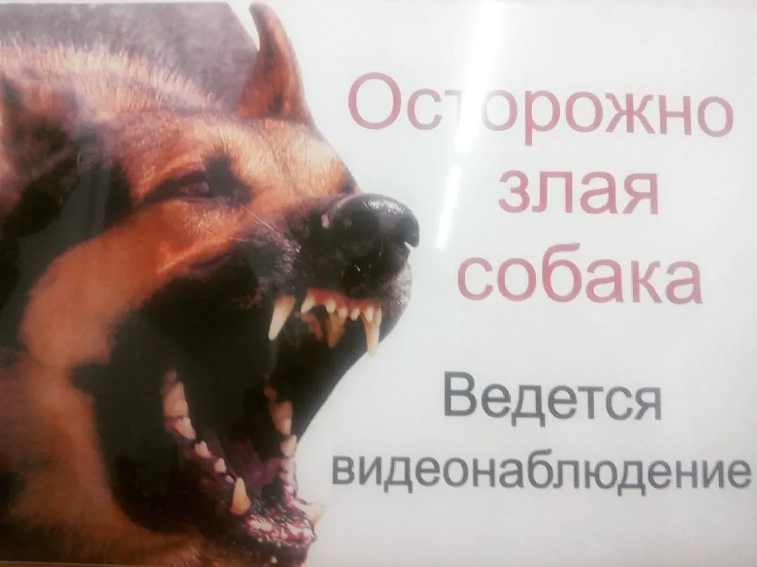 Тақтайшалар — жұмыс үлгісі 70