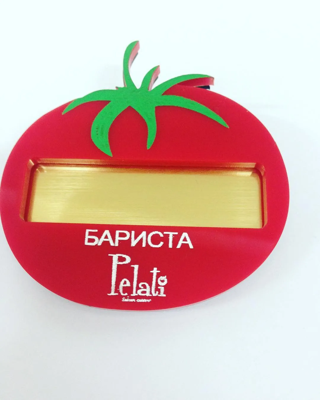 Бейджтер мен ланъярдтар — жұмыс үлгісі 114