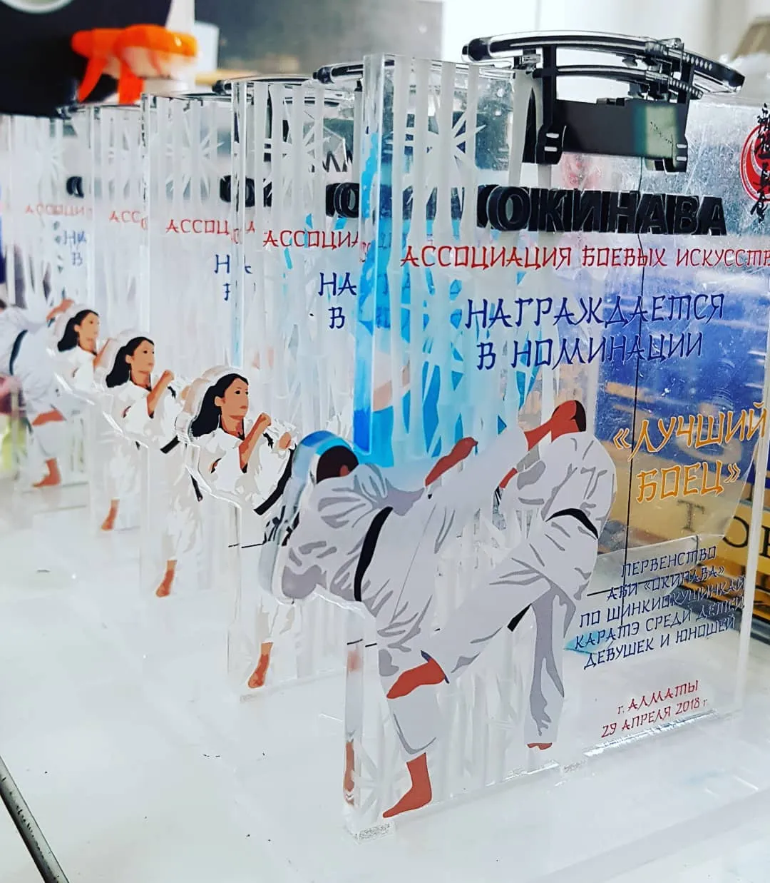 Акрил және шыны марапаттар — жұмыс үлгісі 61