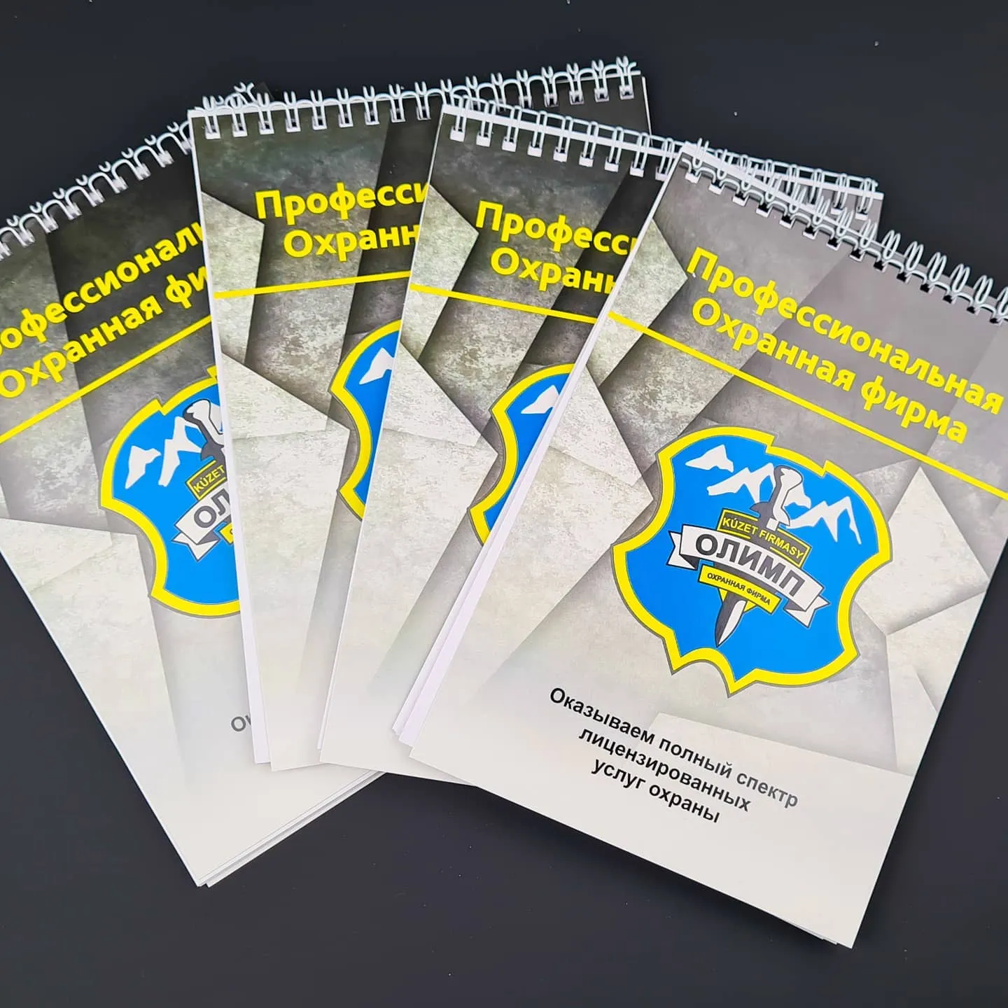 Парақшалар, буклеттер, күнтізбелер және ашық хаттар — жұмыс үлгісі 68
