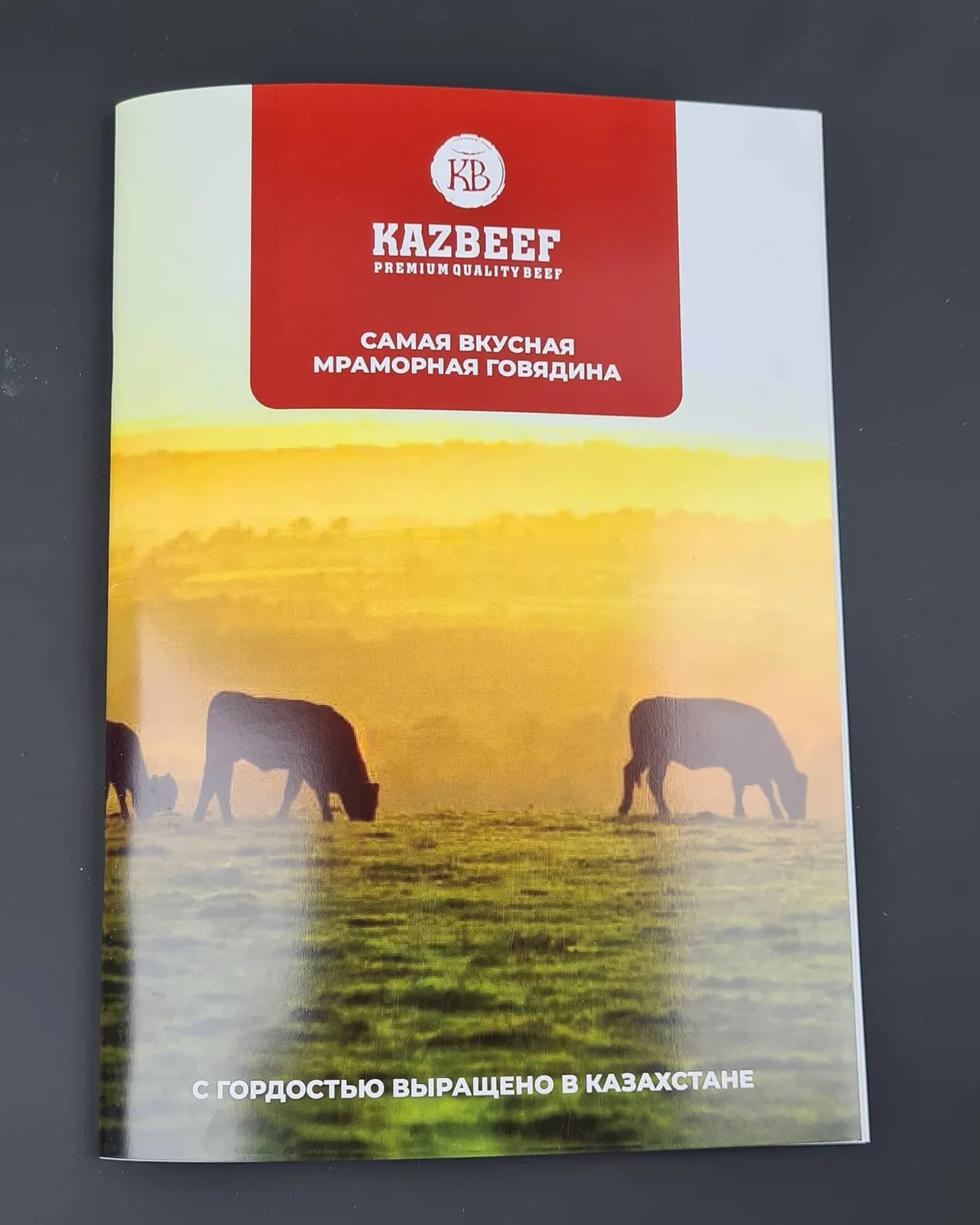 Парақшалар, буклеттер, күнтізбелер және ашық хаттар — жұмыс үлгісі 64
