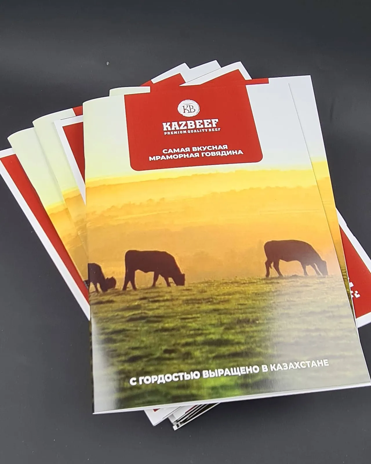 Парақшалар, буклеттер, күнтізбелер және ашық хаттар — жұмыс үлгісі 100