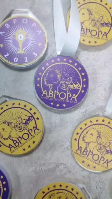 Марапаттар, медальдар және плакеткалар — жұмыс үлгісі 15