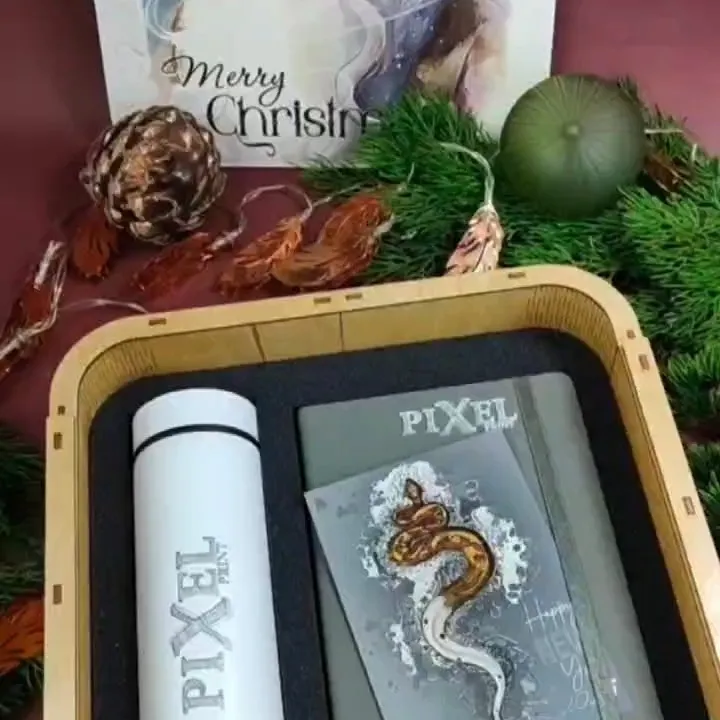 Логотипі бар кәдесыйлар — жұмыс үлгісі 2
